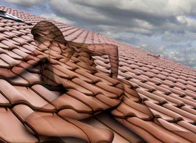 Steig' mir auf's Dach