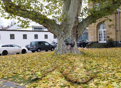 Zweibrücker Herbstszene vor Platane