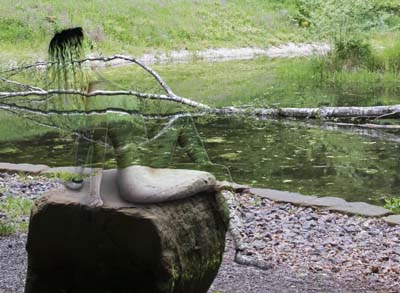 Muse am Schwanenweiher Homburg